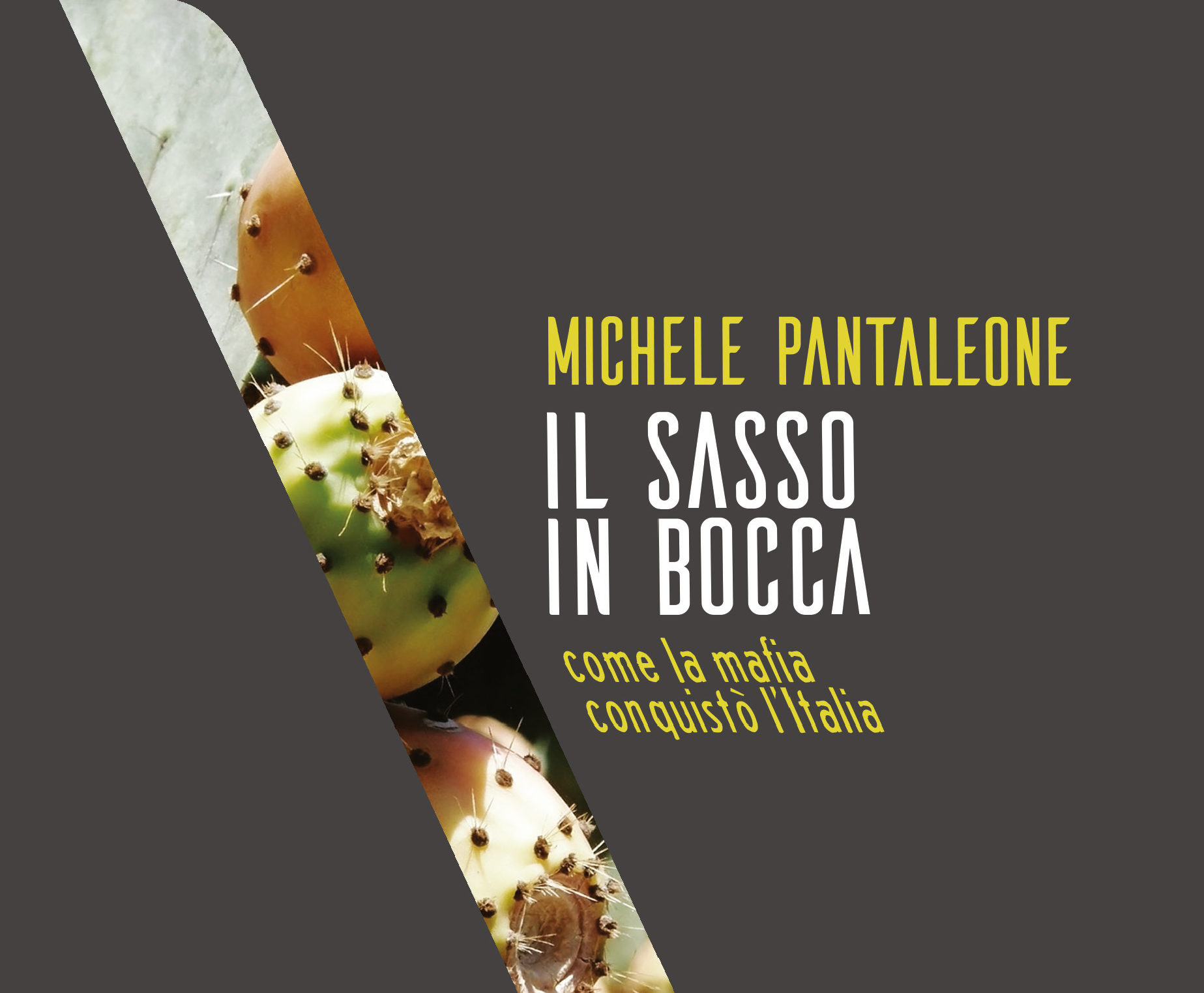 Il sasso in bocca Trame